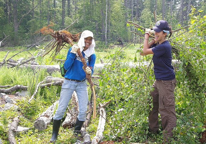 Invasive Plant Removal Workday