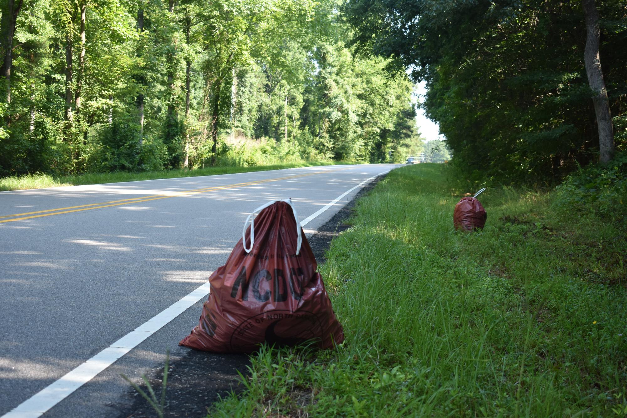 Bi-Monthly Litter Sweep