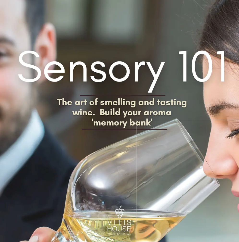 Sensory 101