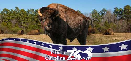 Military Appreciation Week at the North Carolina Zoo