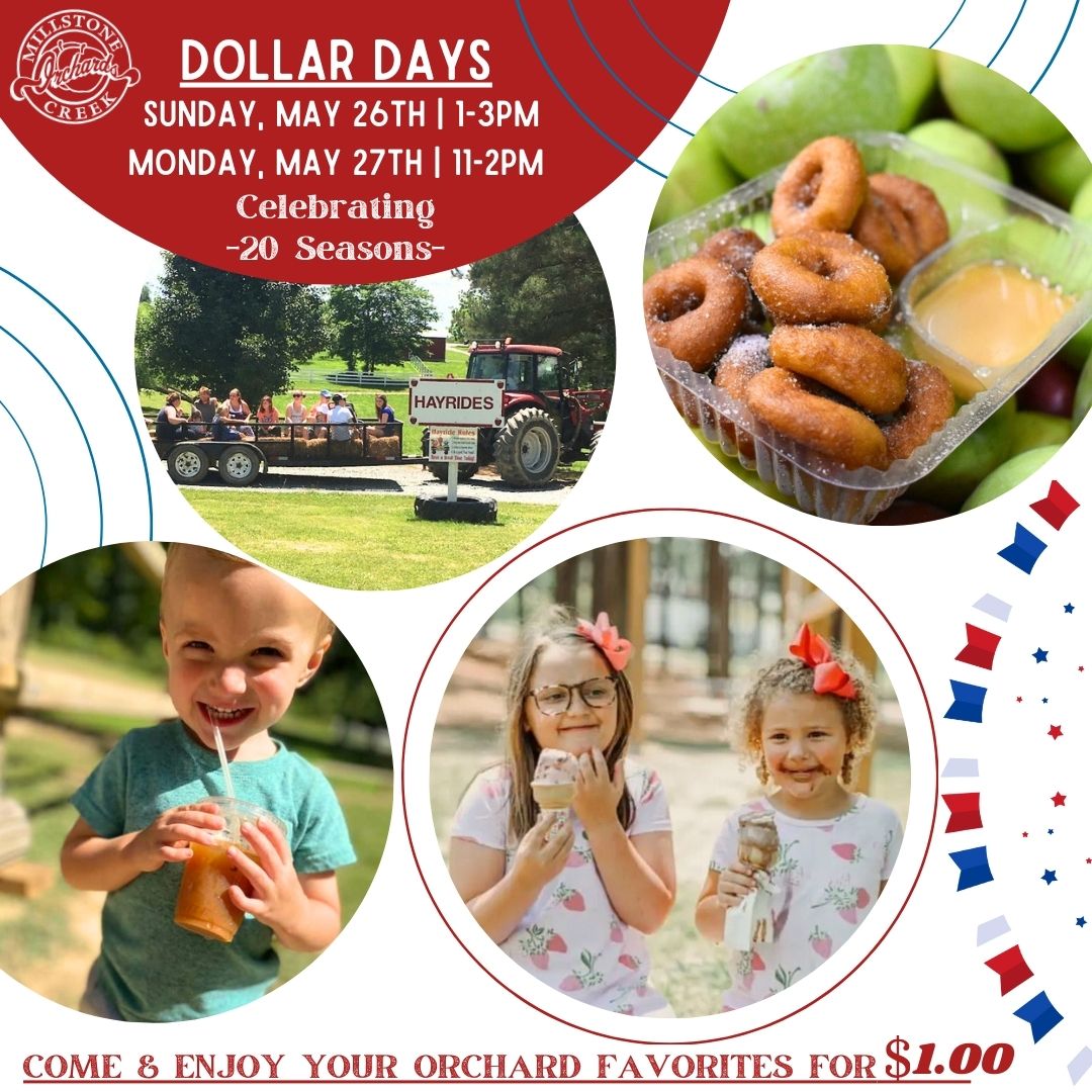Dollar Days @ MCO