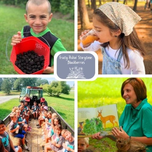 Fruity Pickin' Storytime - Blackberries