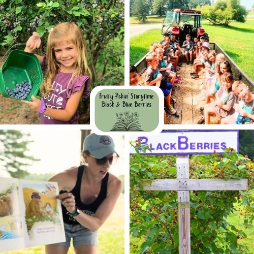 Fruity Pickin’ Storytime - Blackberries & Blueberries