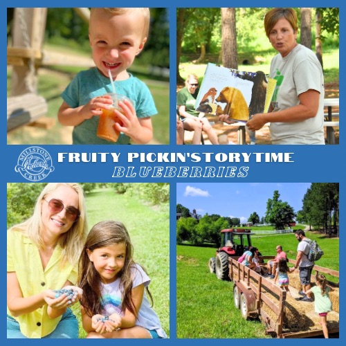 Fruity Pickin’ Storytime - Blueberries