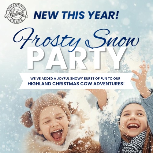 Frosty Snow Party at A Highland Cow Christmas Adventure
