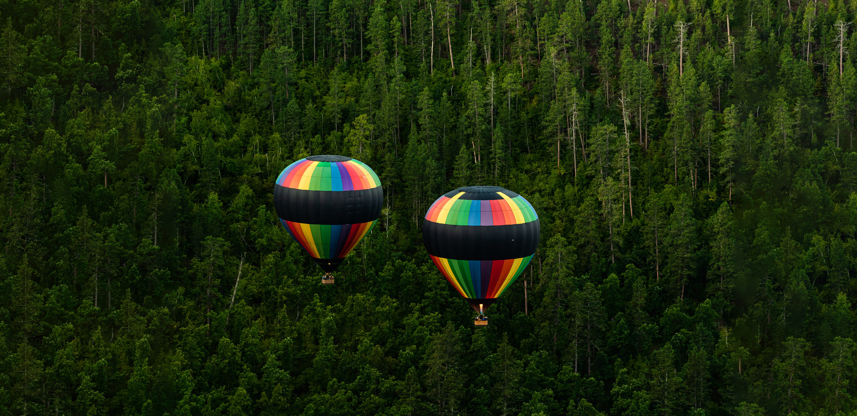 Black Hills Balloons