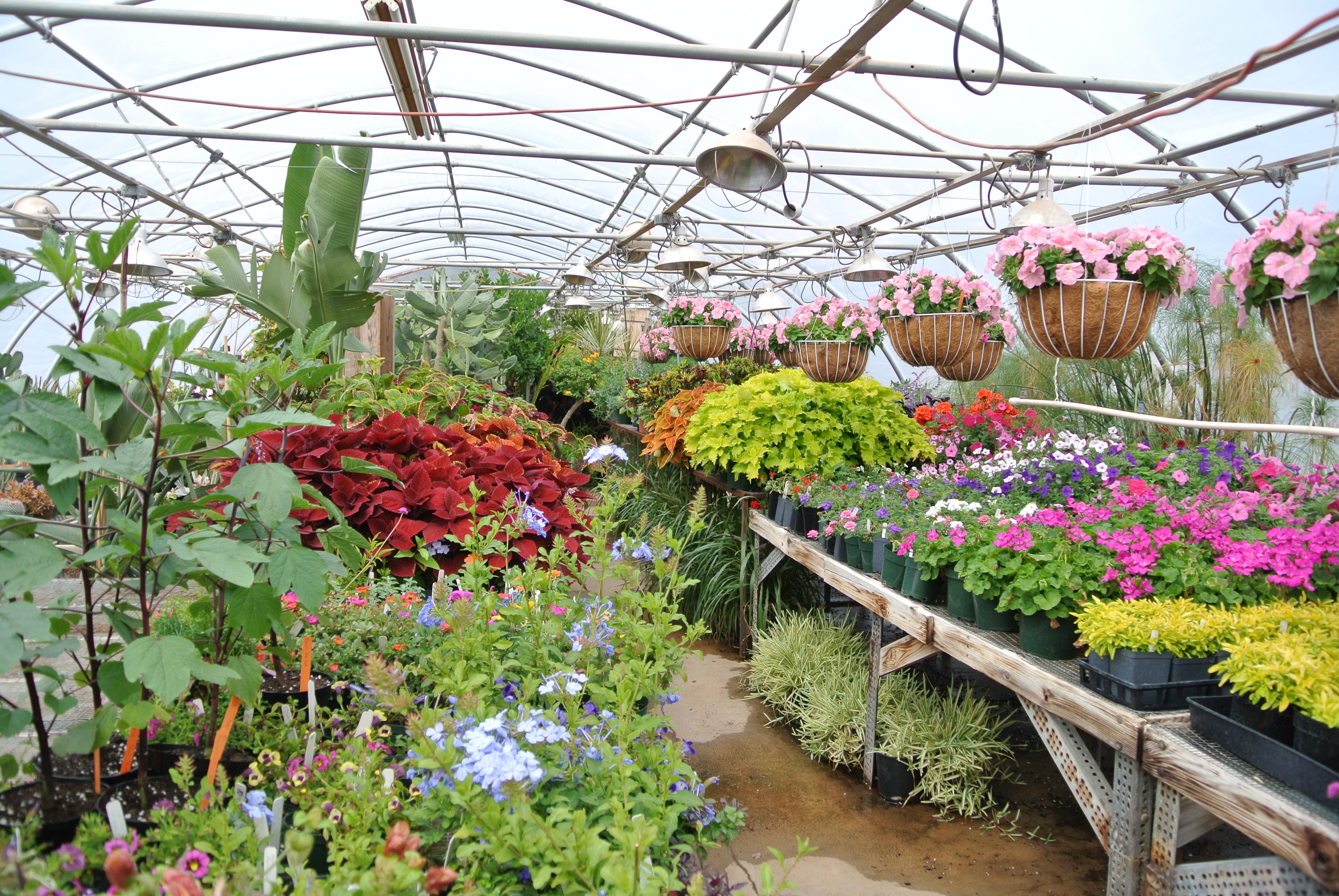 The Botanic Garden At Osu Visit Stillwater