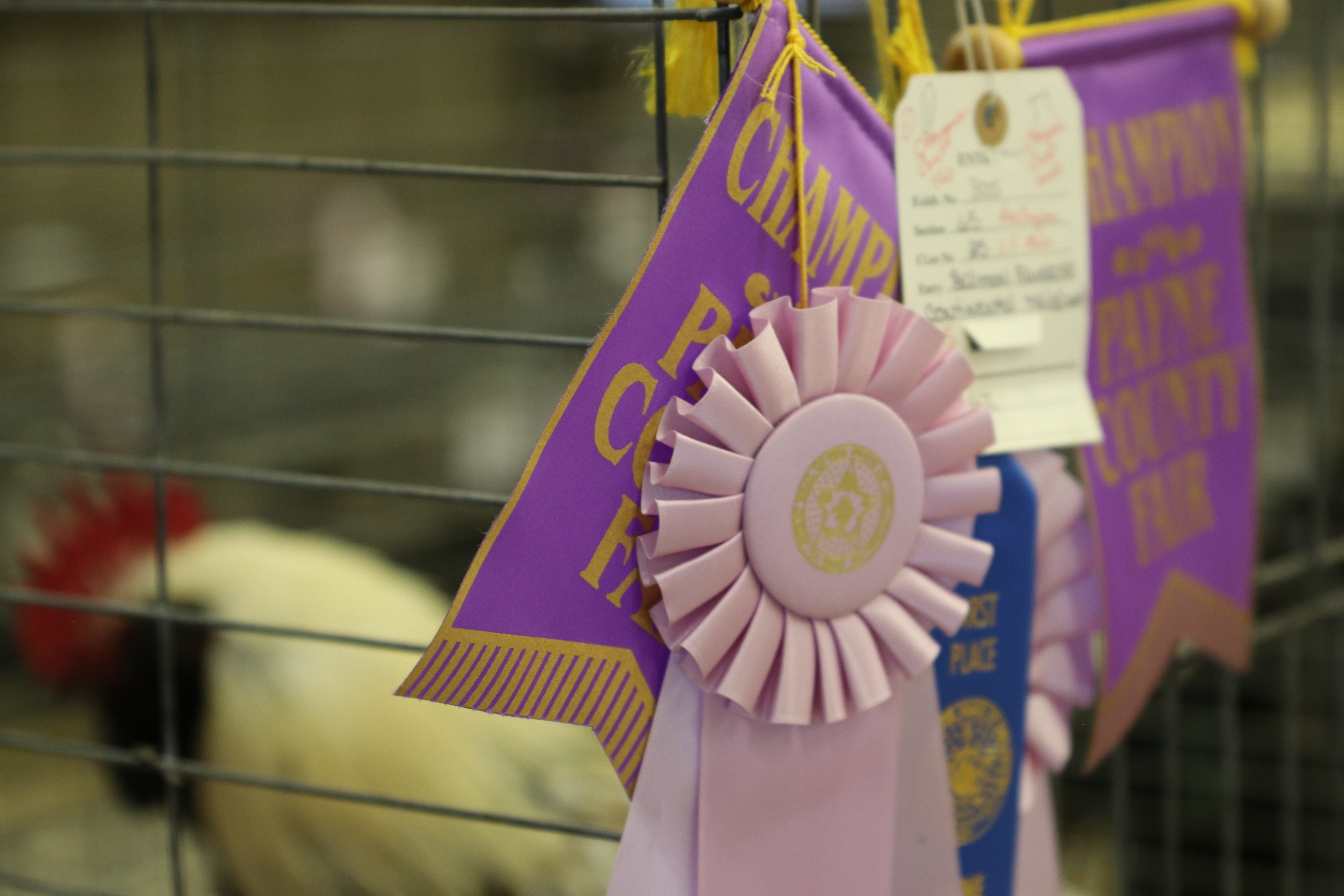 2021 Payne County Fair Visit Stillwater