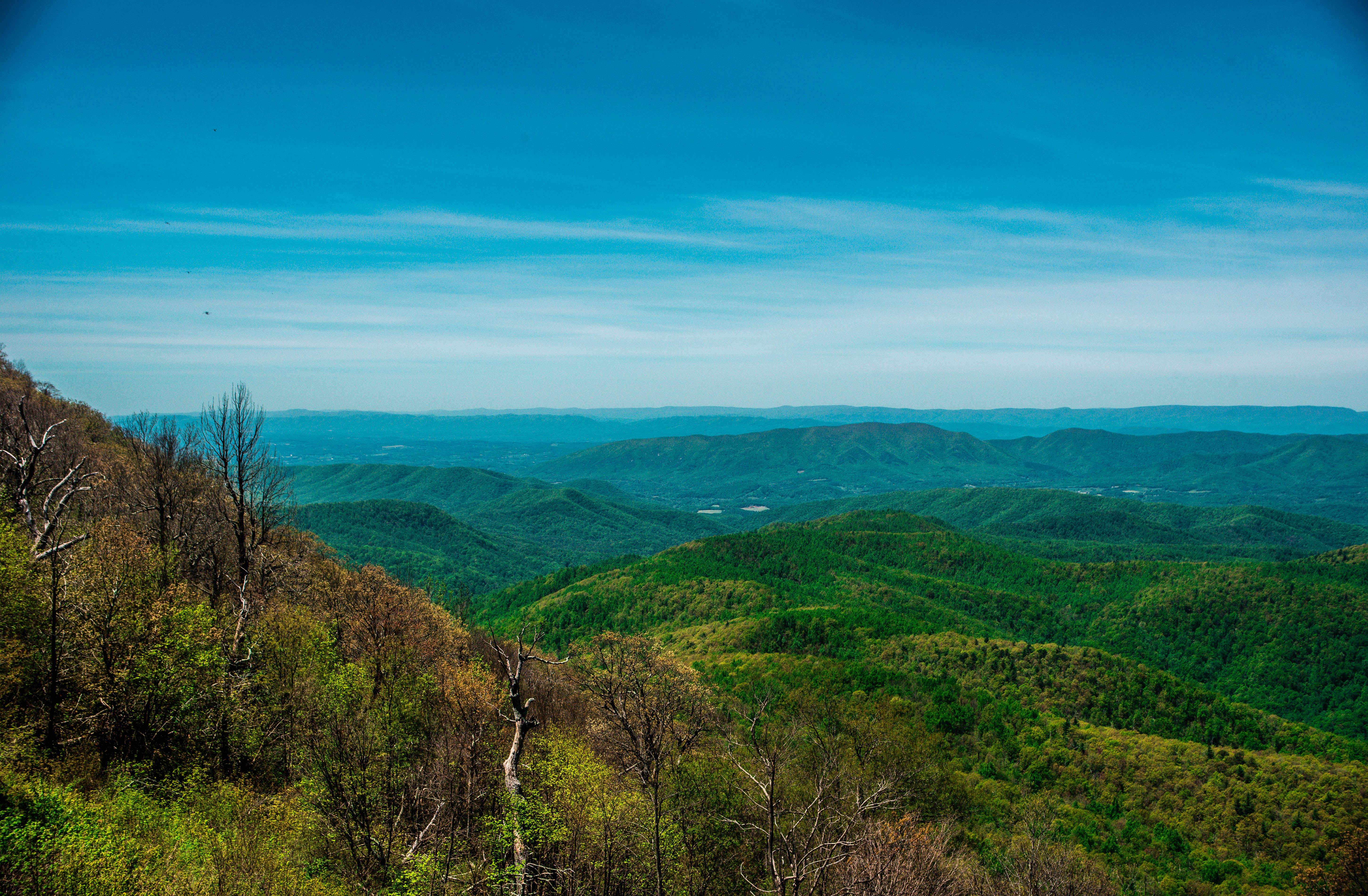 フィッシングジャケット●BLUE RIDGE Blue Ridge Parkway - Hiking | Virginia's Blue Ridge Region, VA