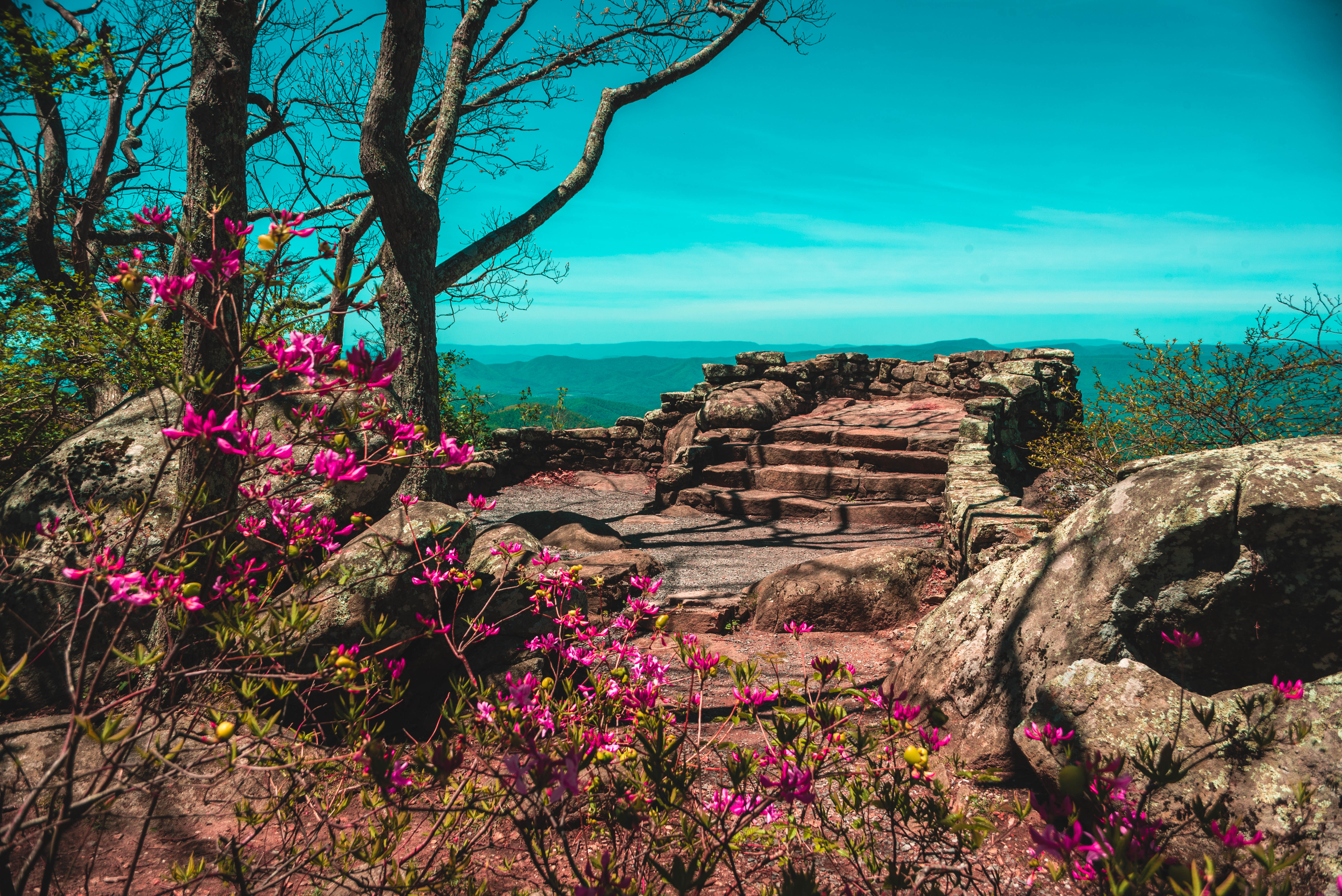 Blue Ridge Parkway - Views | Virginia's Blue Ridge Region, VA