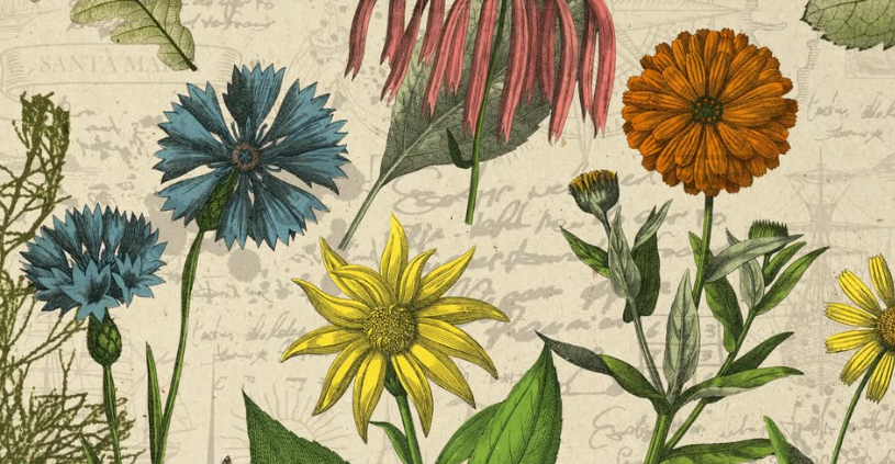 Conversations with Thomas Jefferson, John Adams and Benjamin Franklin