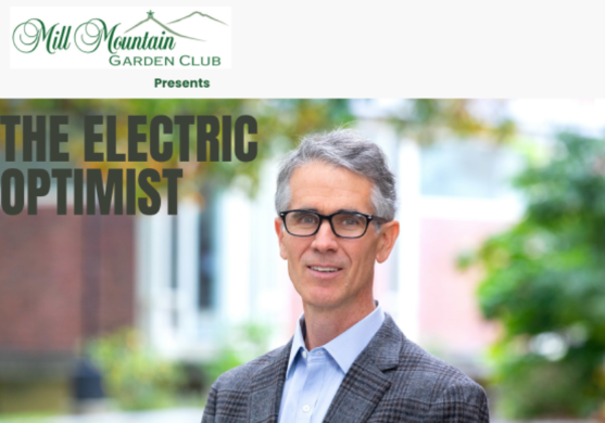 The Electric Optimist