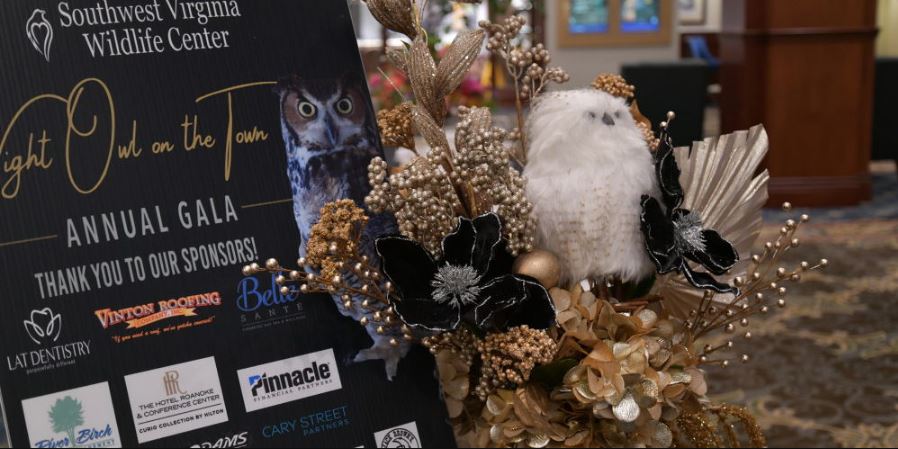 Night Owl on the Town 2026