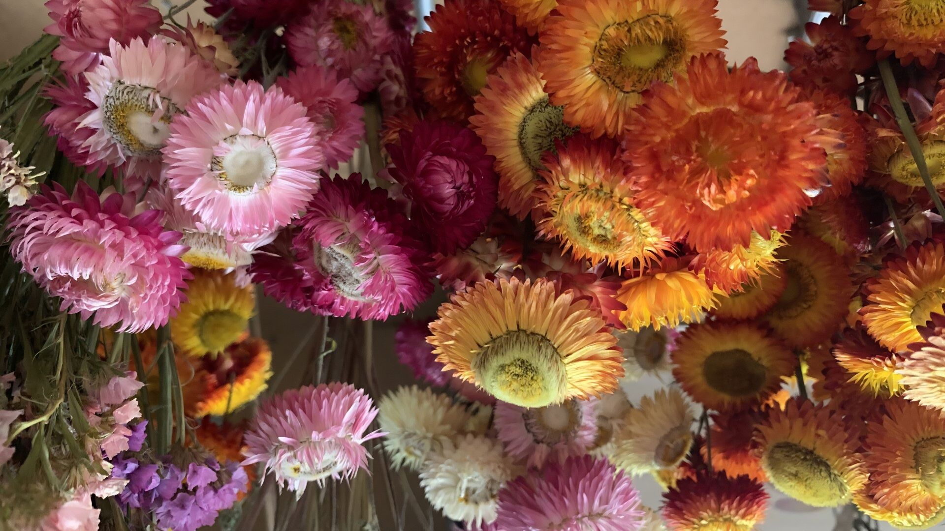 Everlasting Harvest Workshop