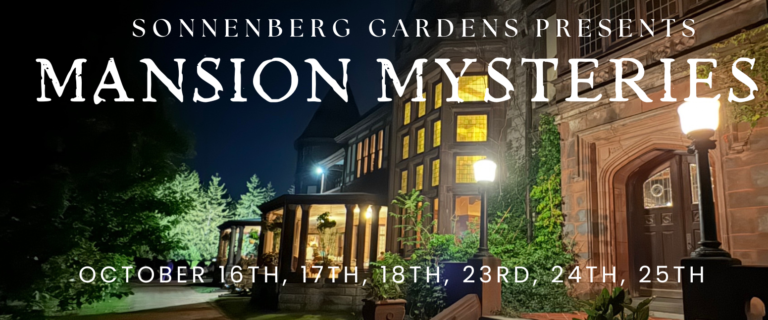 Mansion Mysteries