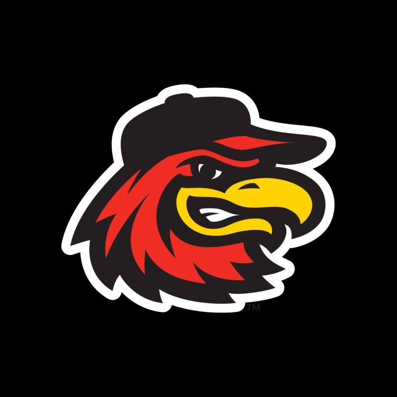 Rochester Red Wings vs Syracuse Mets