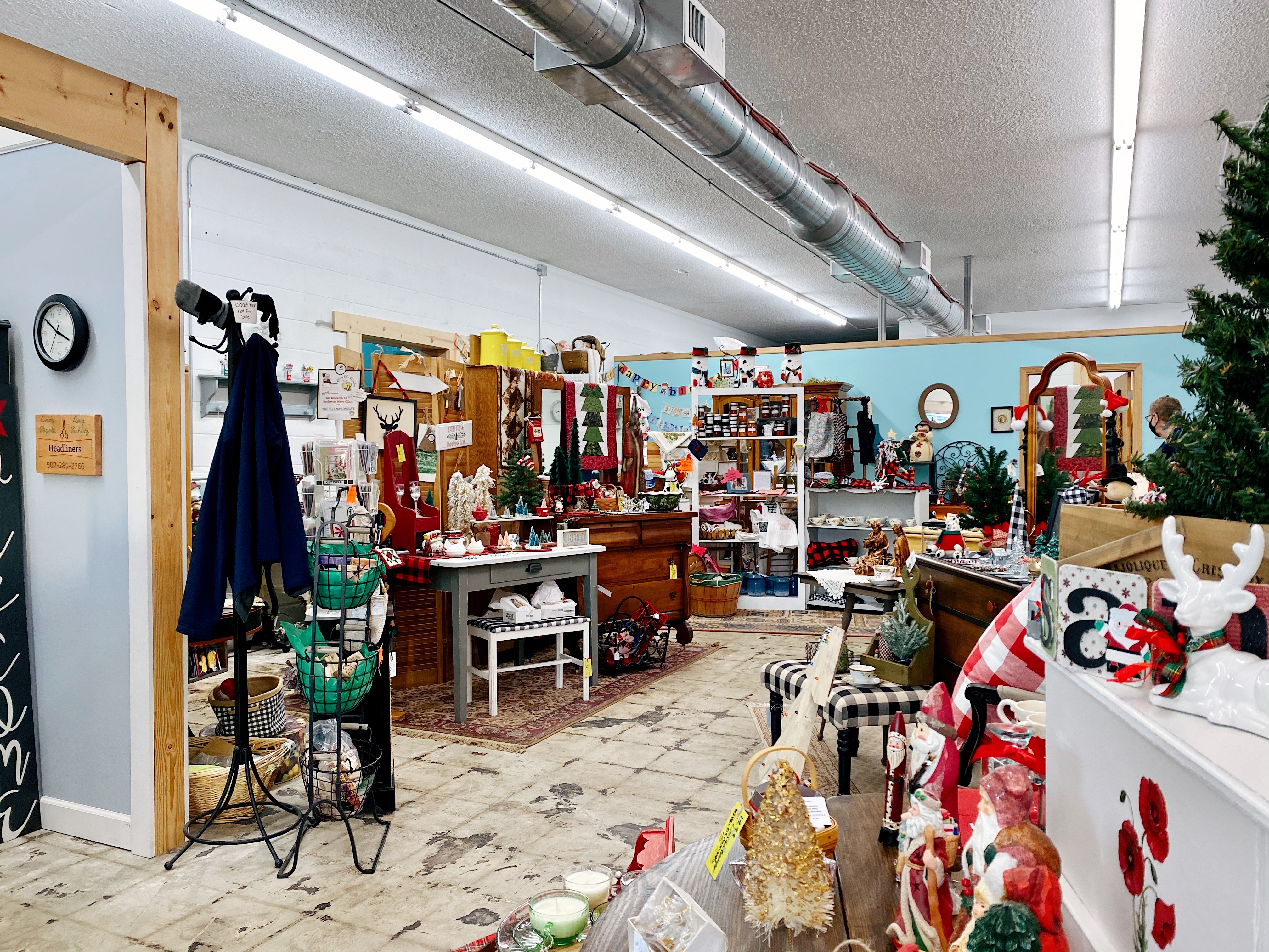 The Yellow Monkey | Rochester, MN 55901
