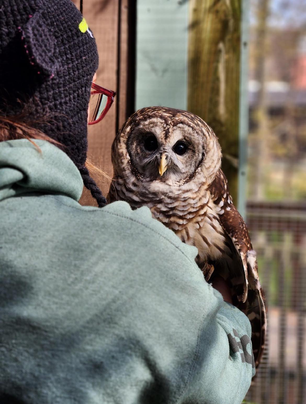 Center for Birds of Prey — Sanctuary Review