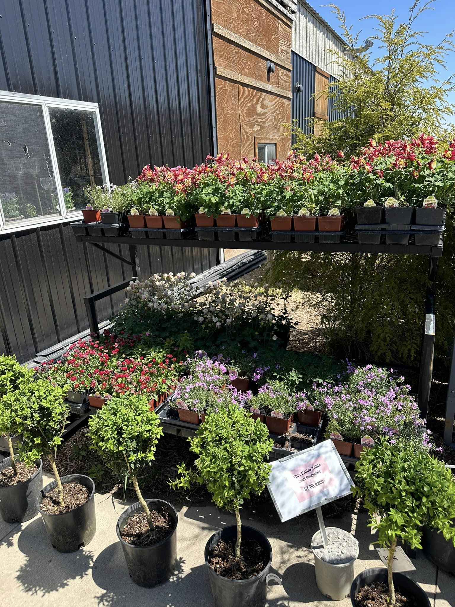 Meridian Nursery