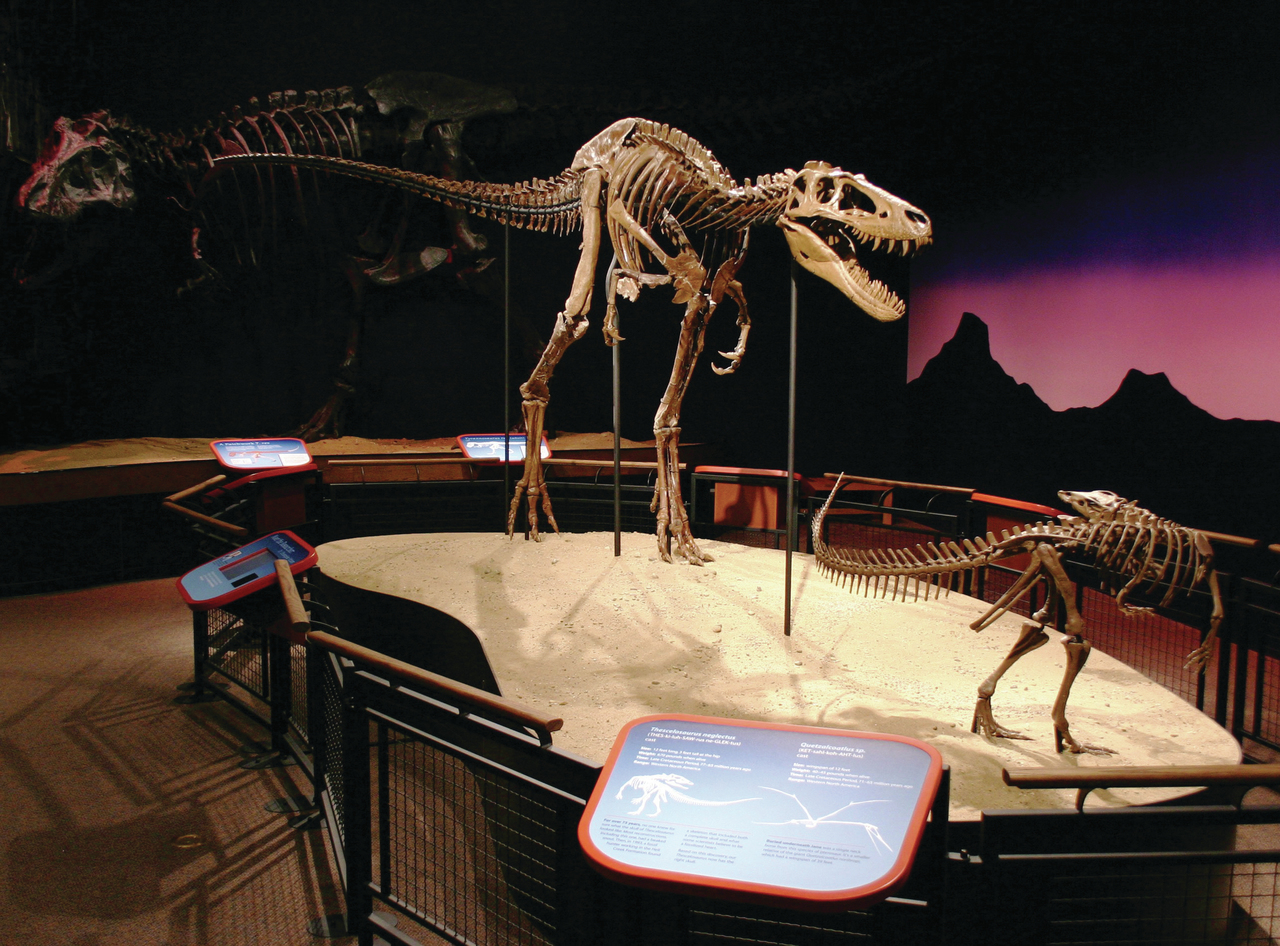 Explore the Best Museums in Rockford Illinois for an Unforgettable ...