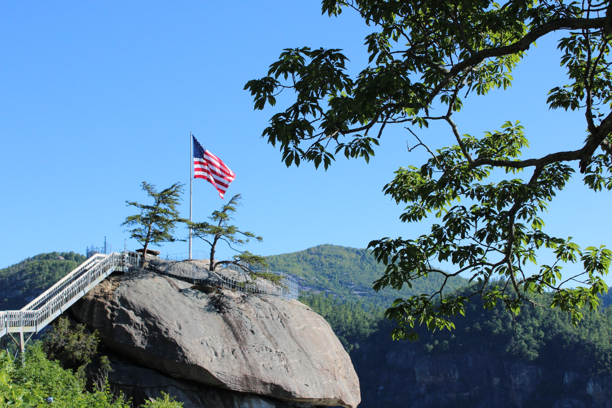 top dog pawn tobacco rd Naturalist Niche: Geology of the Gorge