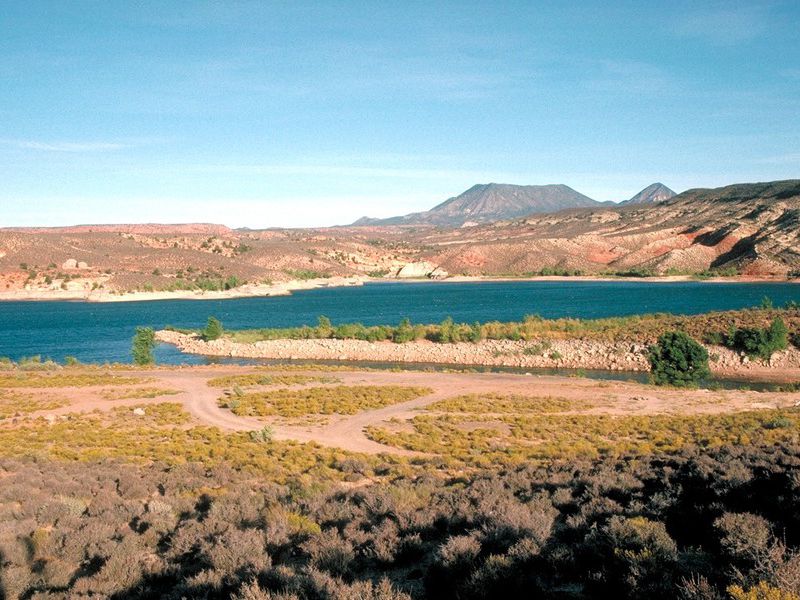 are dogs allowed at gunlock state park