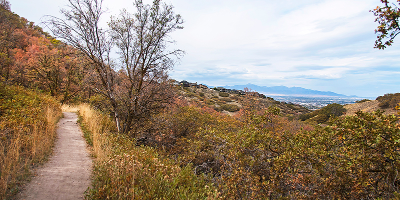 Corner Canyon Trail System