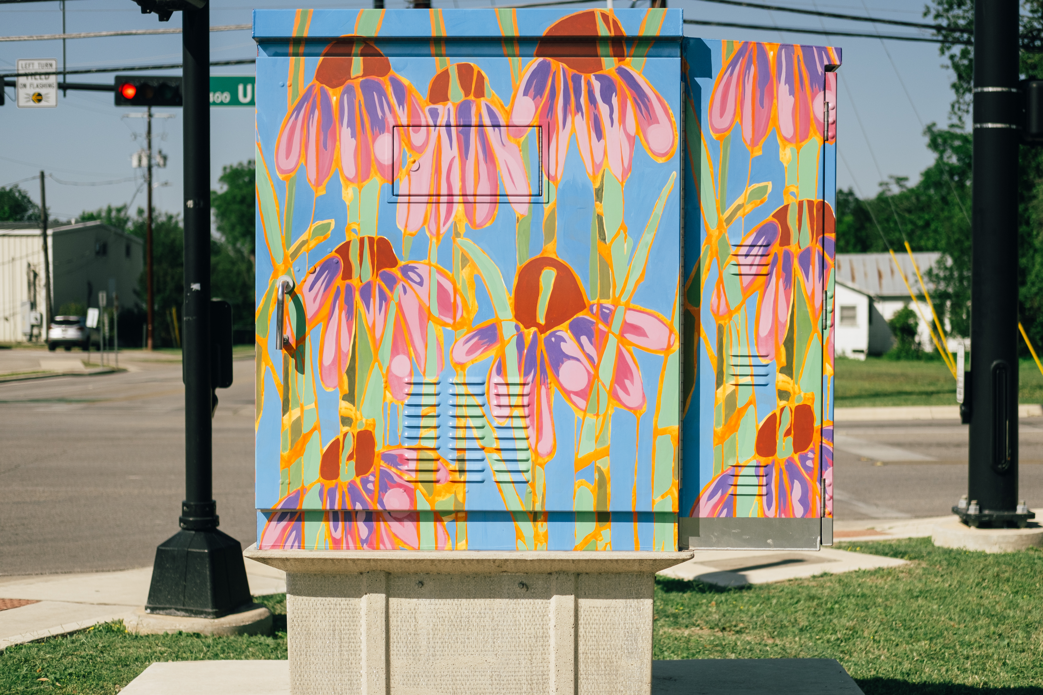 Traffic box art by Anita Horton | San Marcos, TX