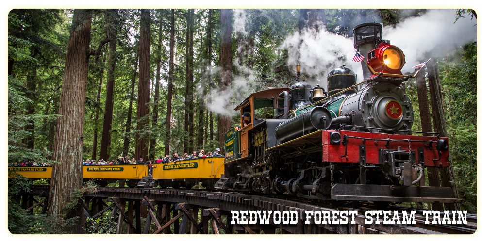 Roaring Camp Railroads