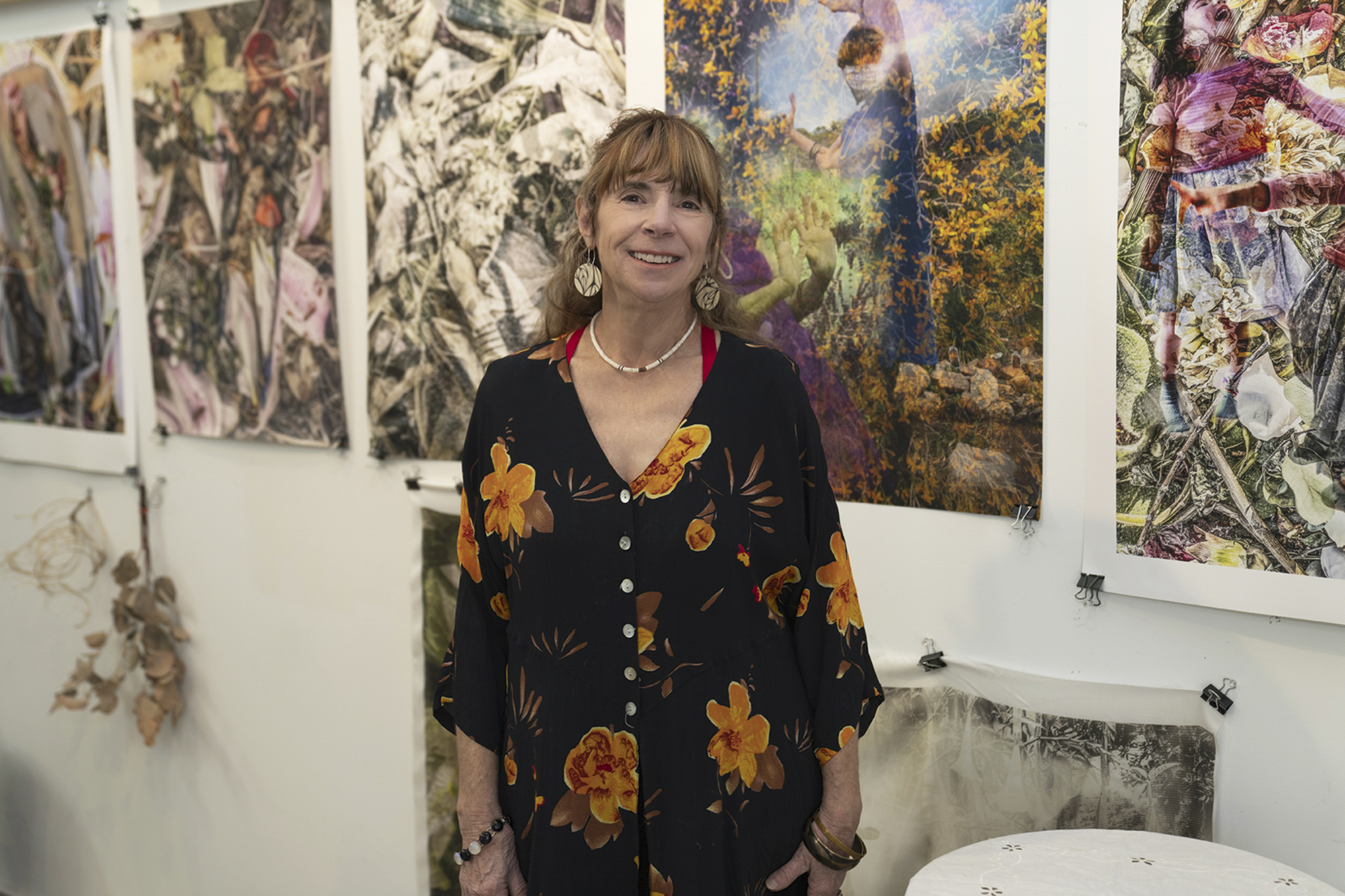 Diane G Rolnick Art Studio