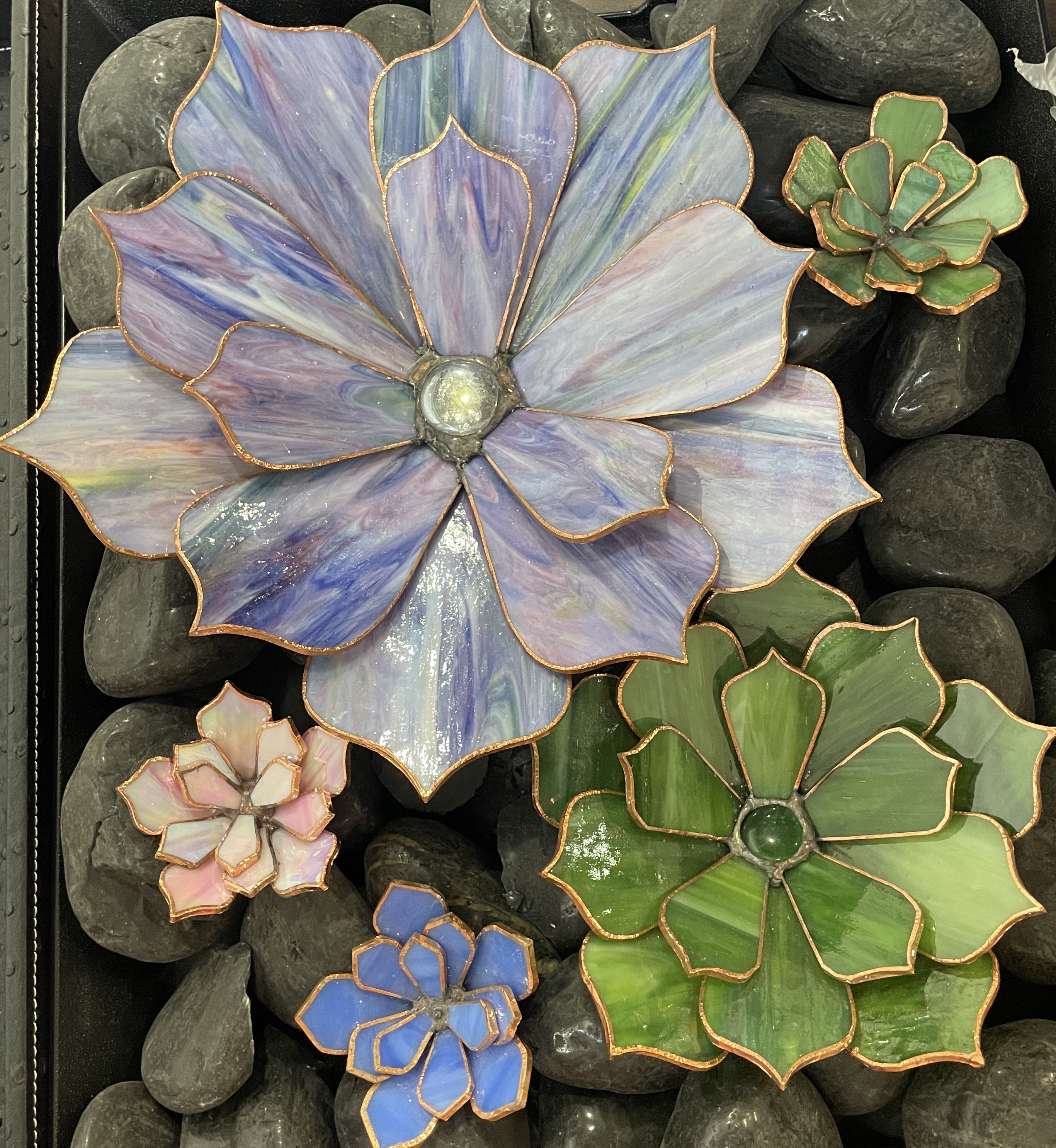 money plant from seeds Money Plant Seeds – Silver Dollar Plant – SurvivalGardenSeeds
