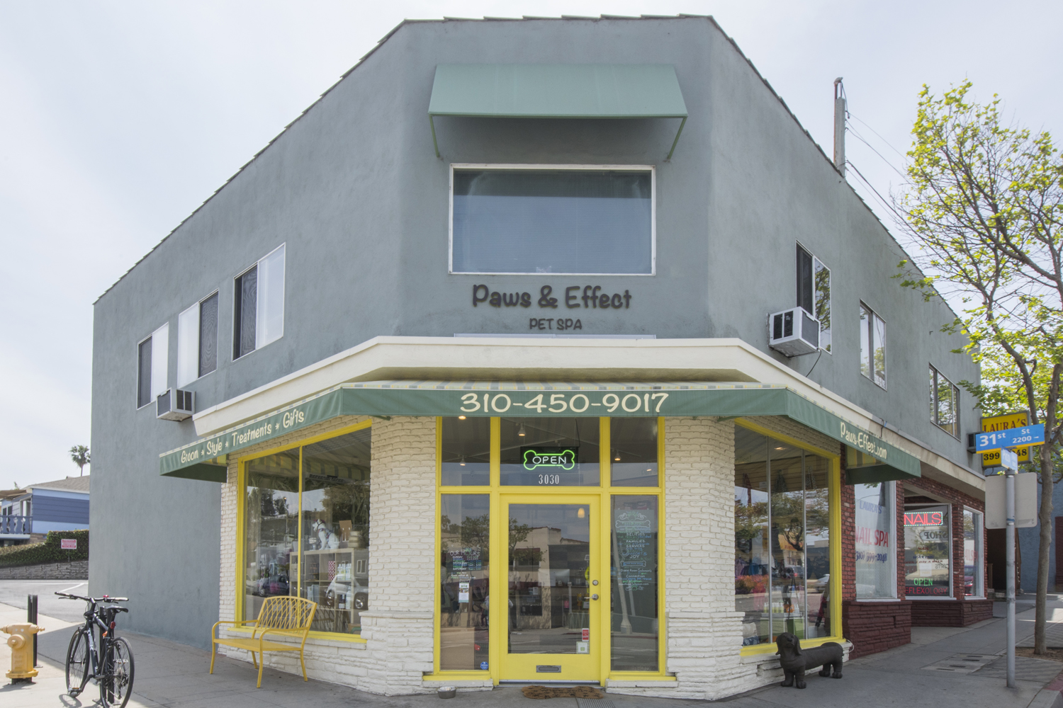 Paws & Effect Pet Spa