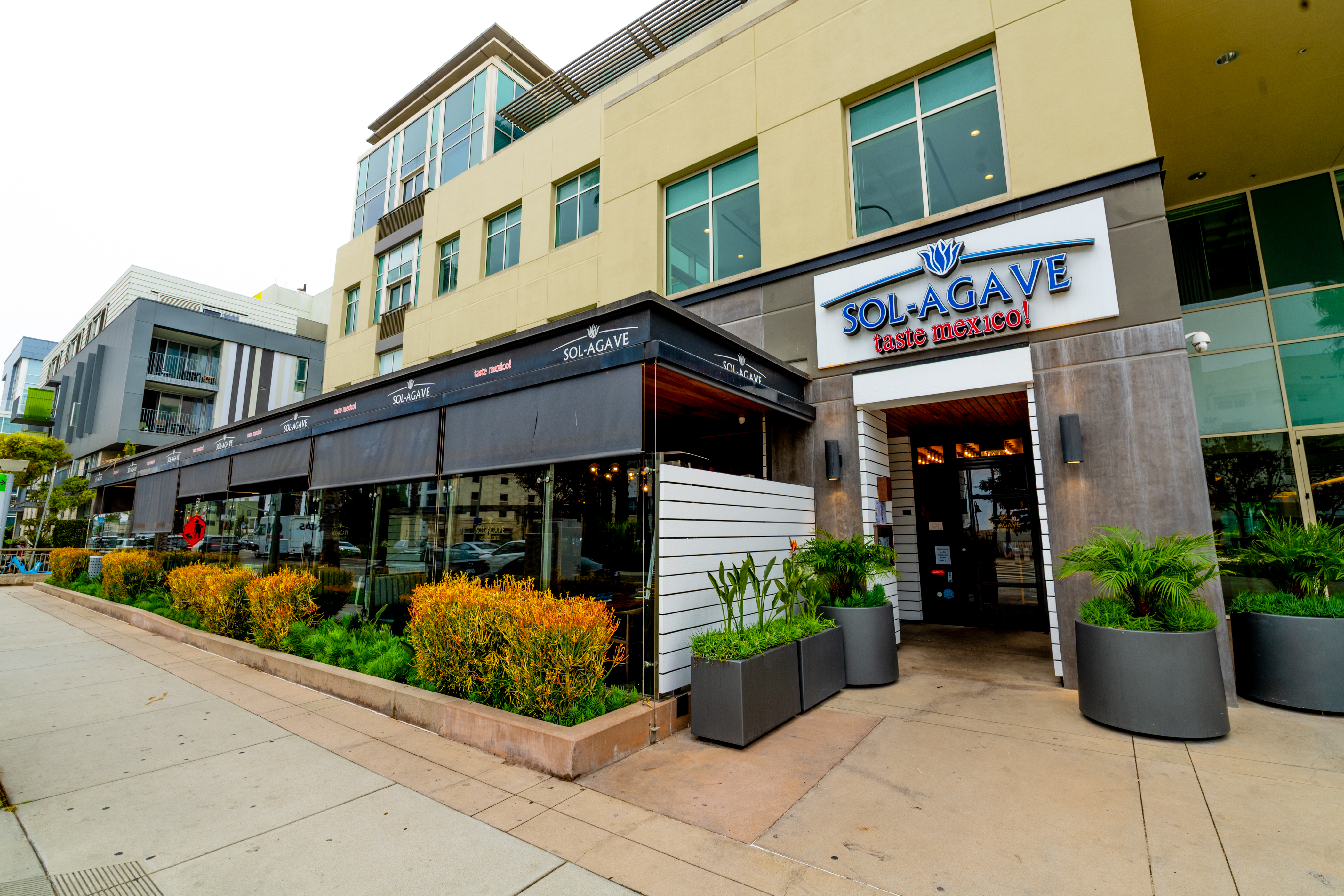 Sol Agave à l'extérieur