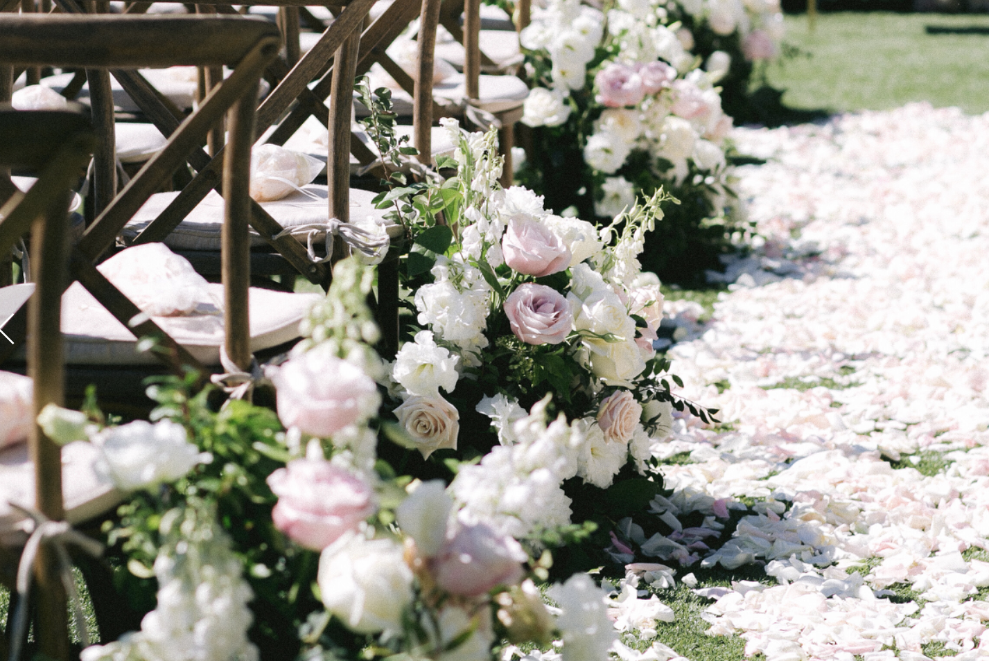 Imagen de laboratorio de flores