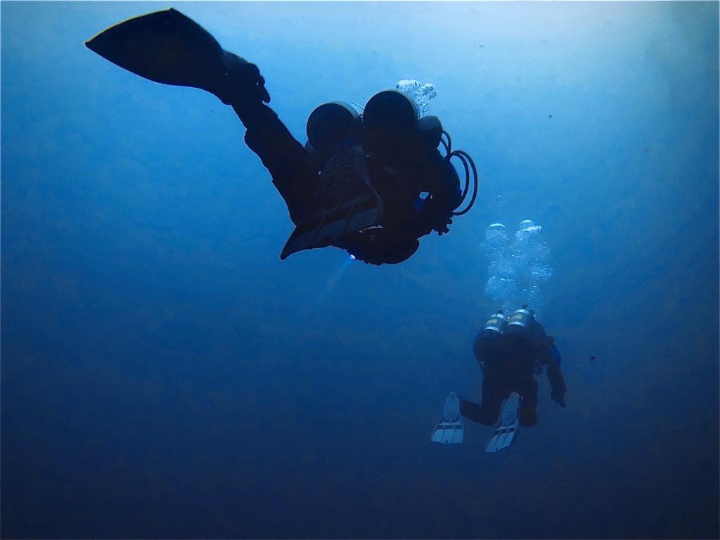 フォロー・ミー