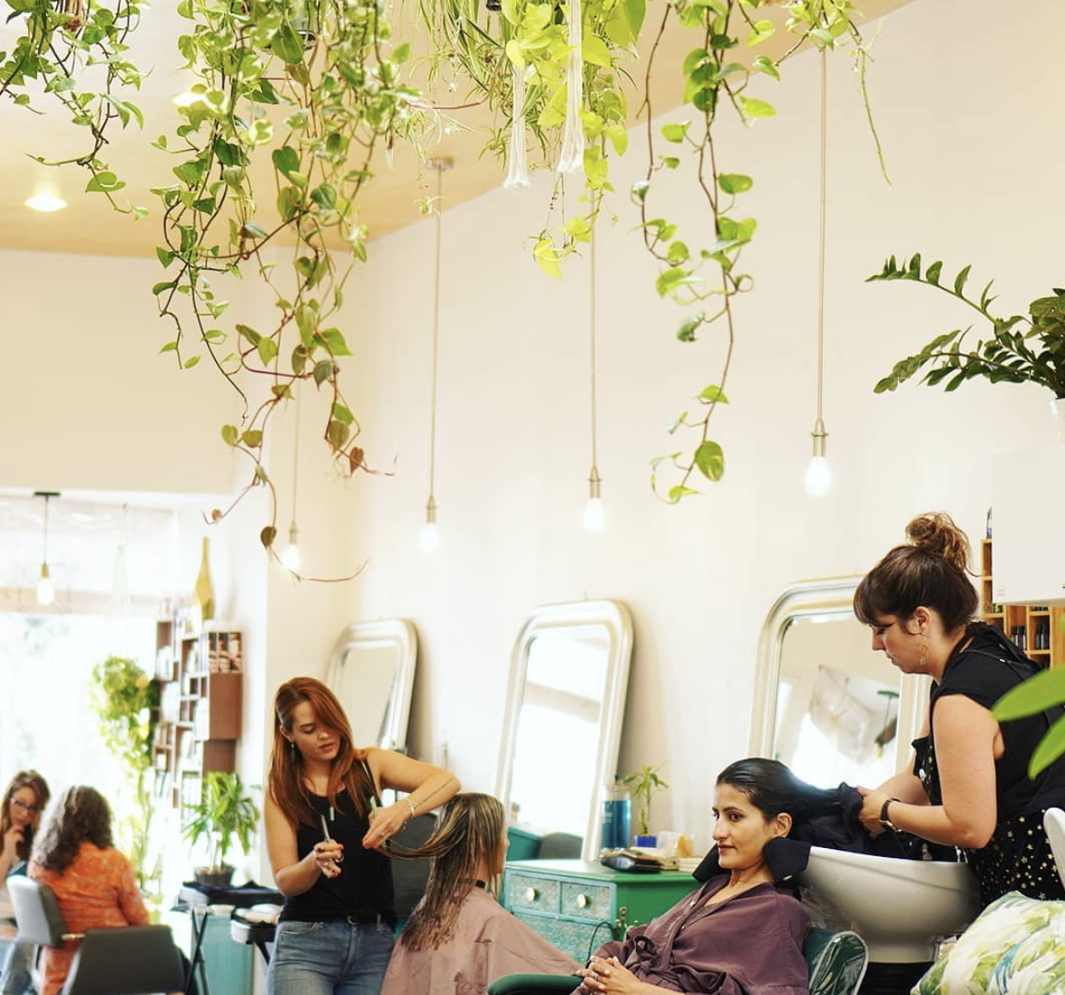 額入りサロン・スタイリスト