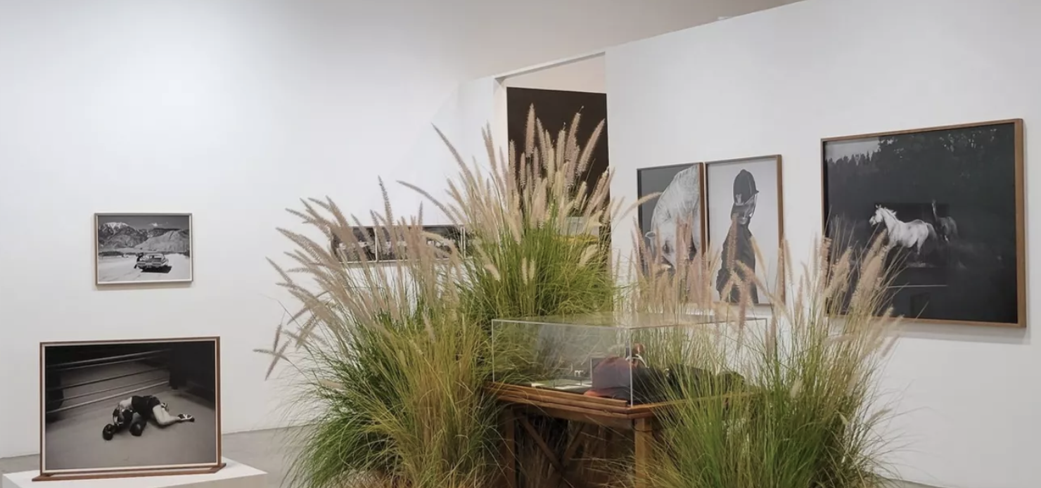 معرض غاليري الثاني عشر2