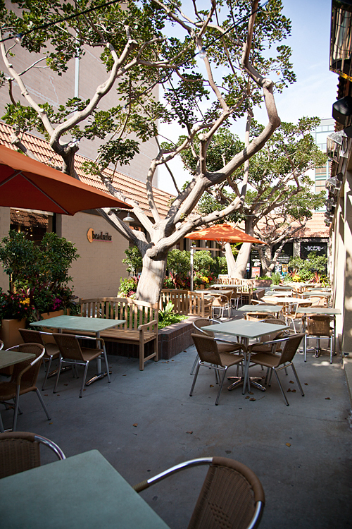 الخضر الطرية (نوي مونتيس للتصوير الفوتوغرافي)