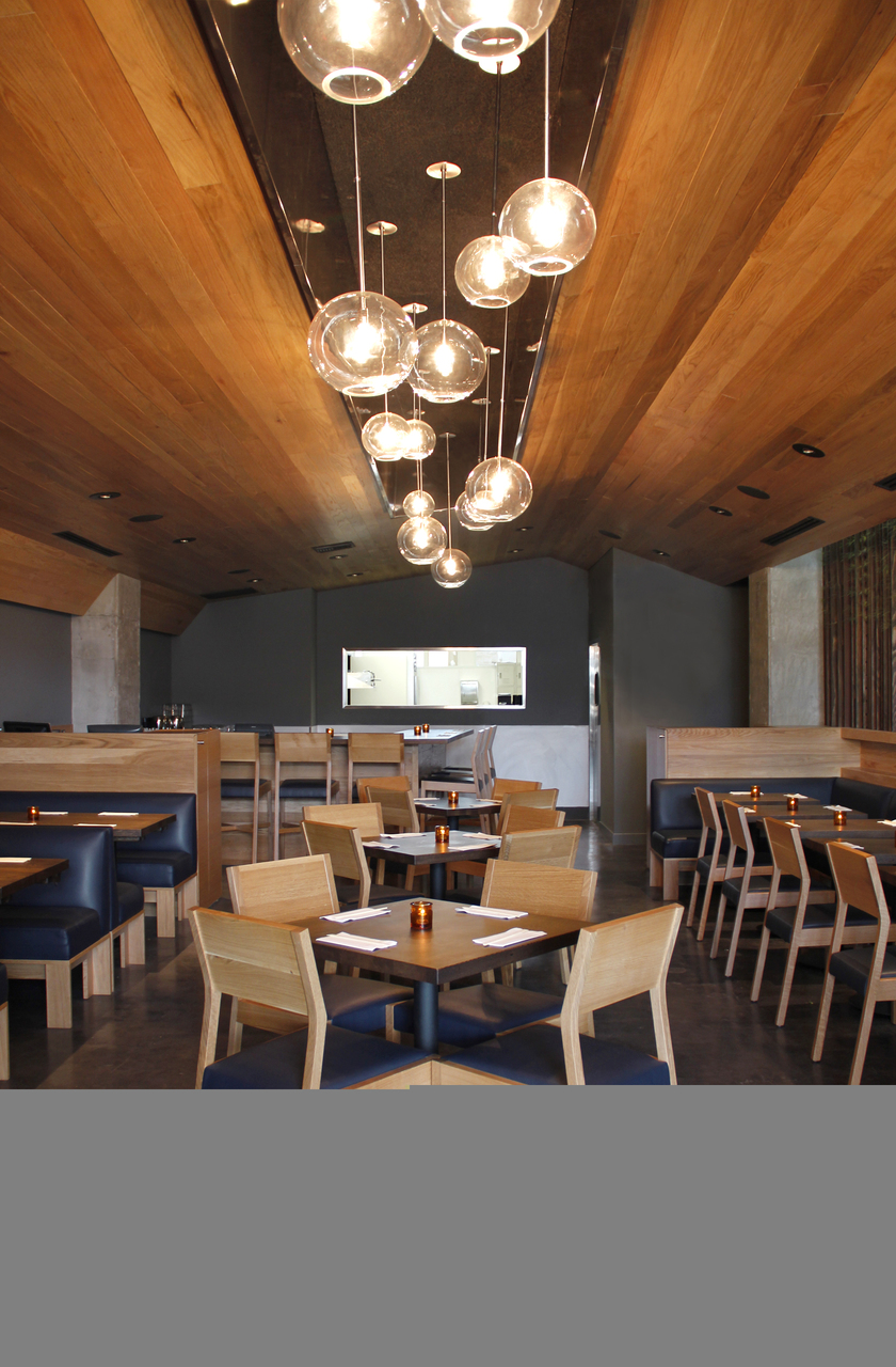 شوغرفيش_سمك_سمك_الشمال