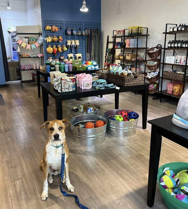 التصميم الداخلي