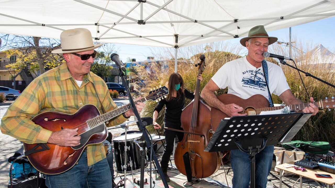 Musical Entertainment