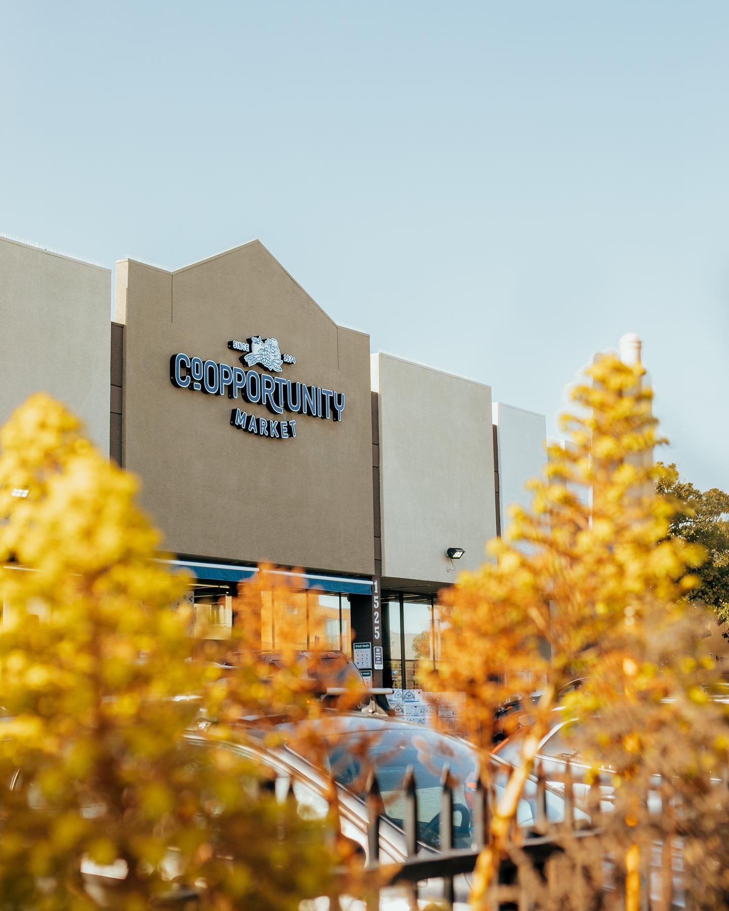 合作机会 商店前台