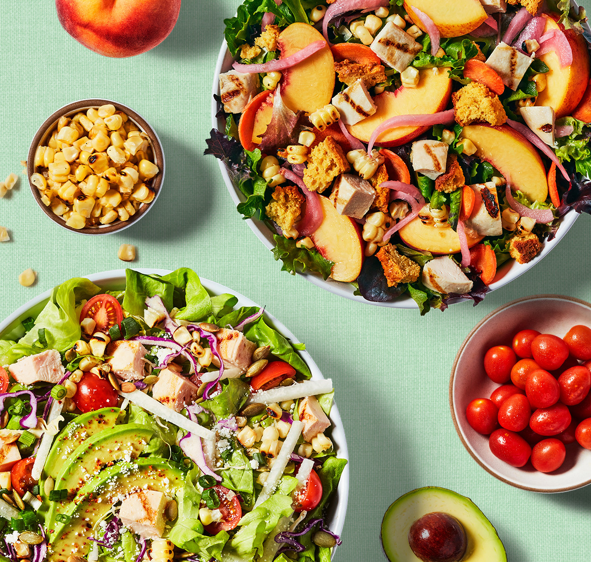 موسم النزهات