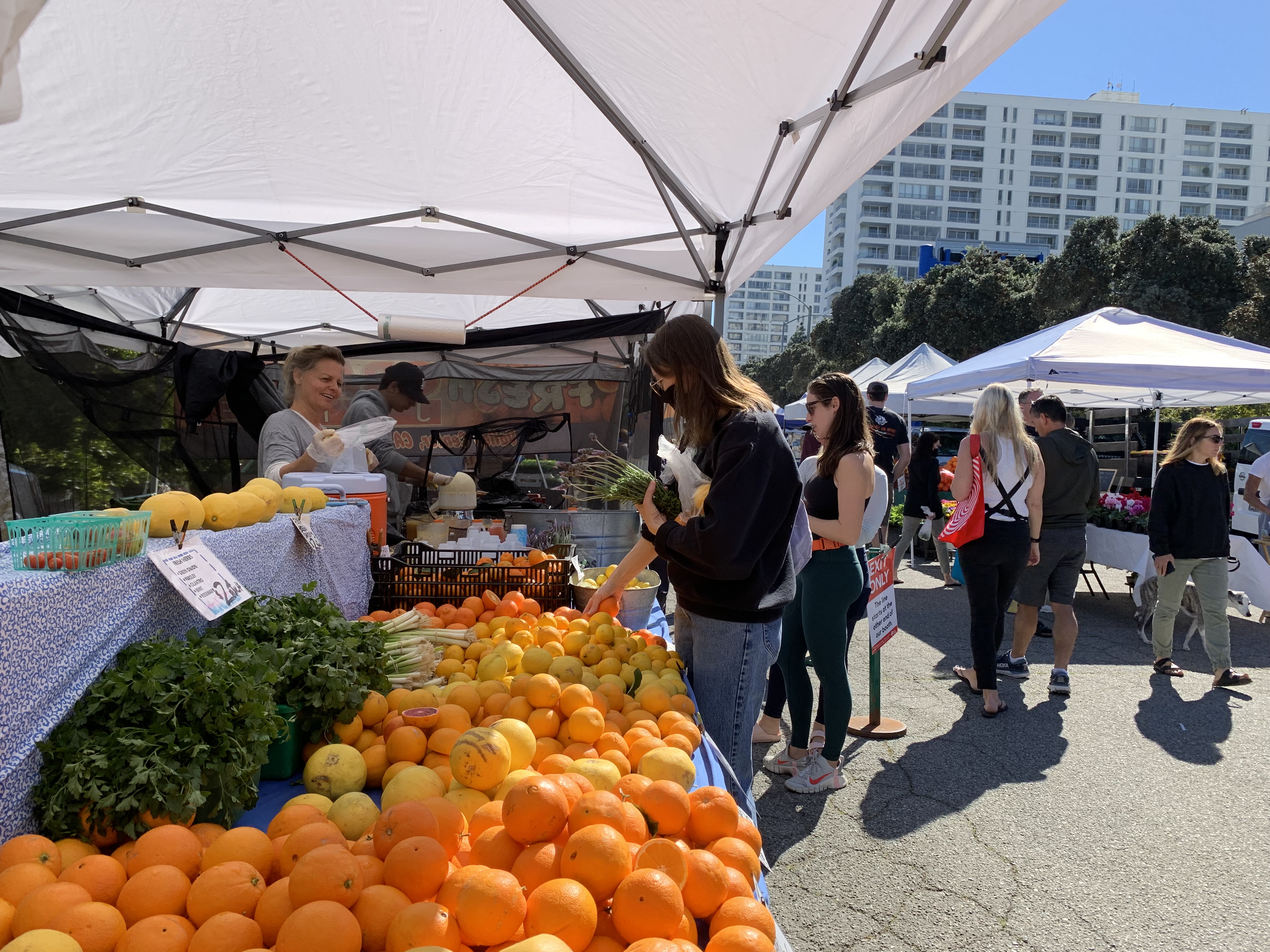 Citrus vendor at the Main Street Farmers Market