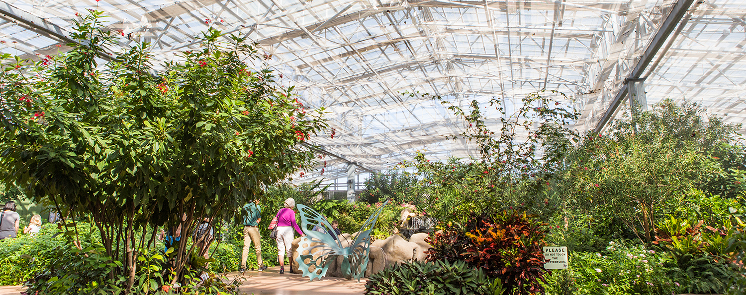 Butterfly Wonderland