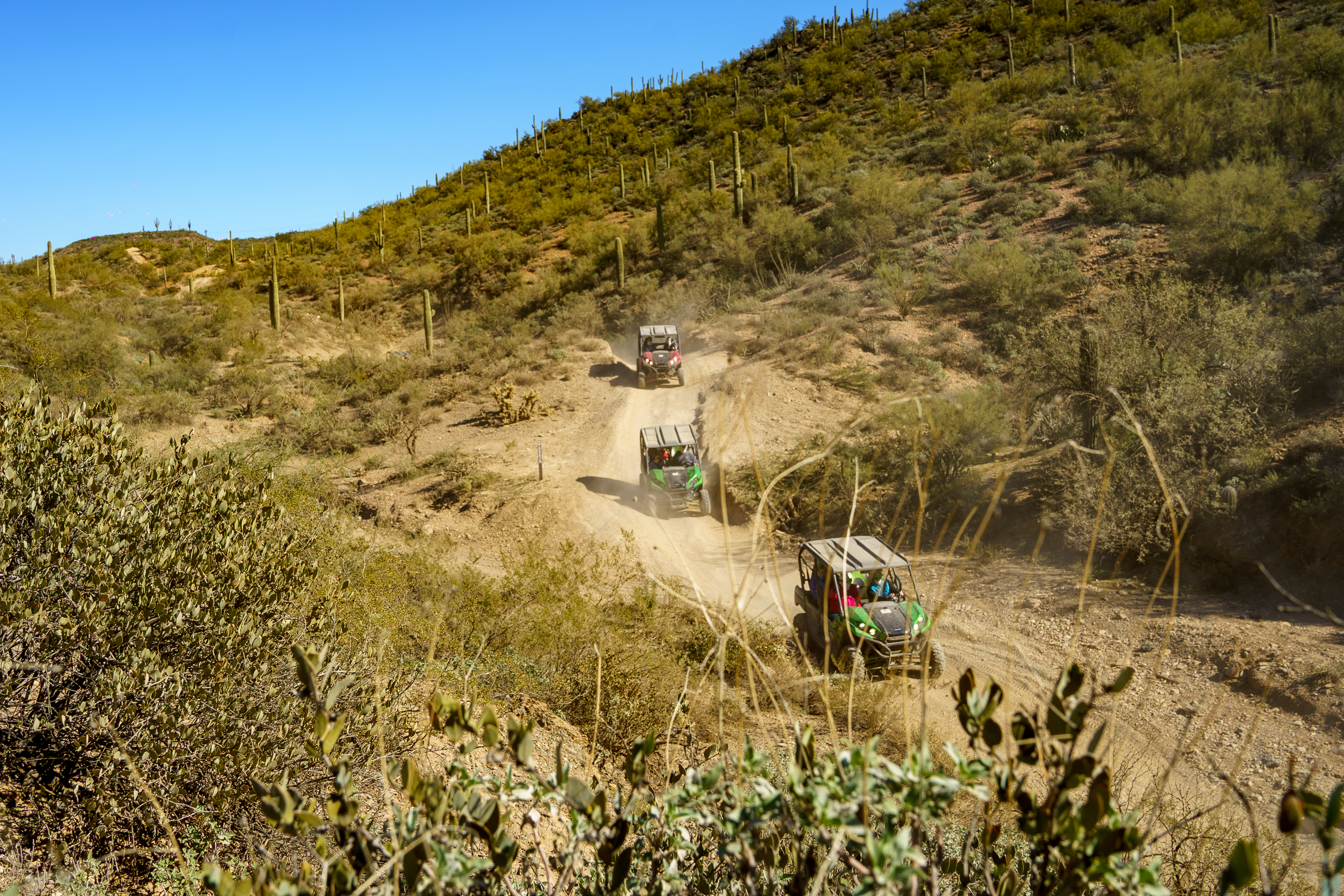 Arizona Outdoor Fun Adventures and Tours