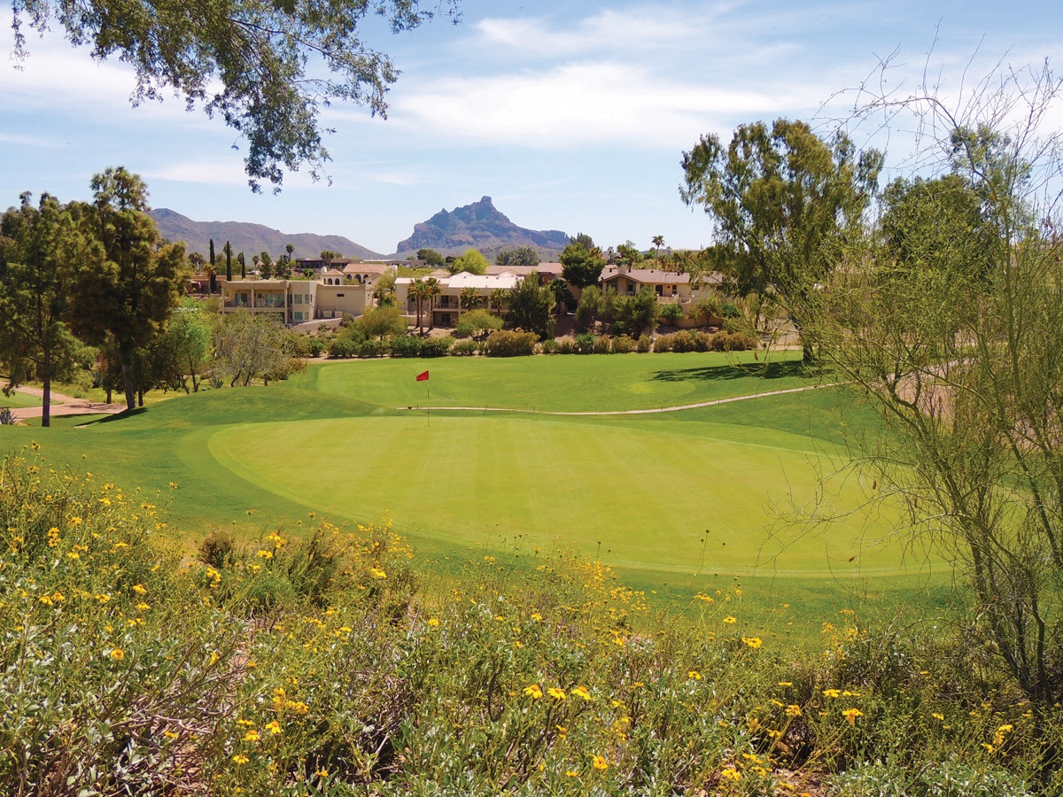 Desert Canyon Golf Club