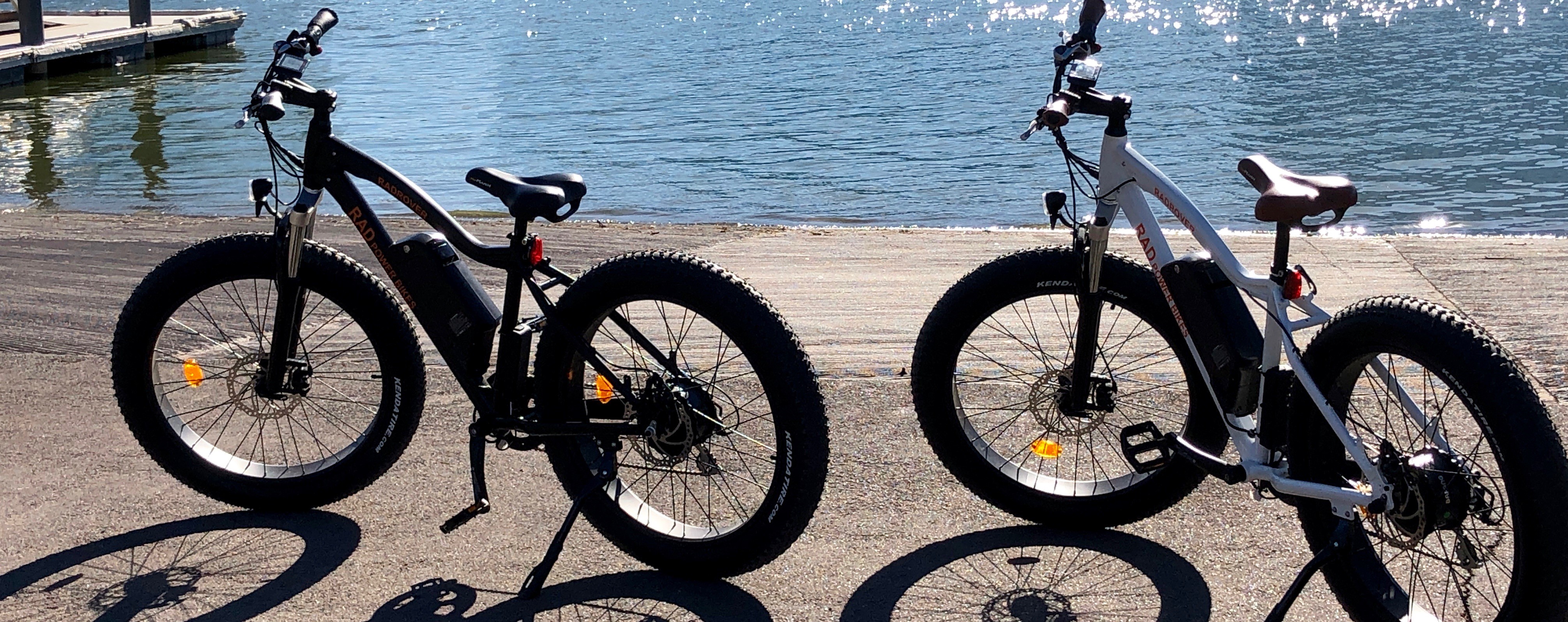 phat ride electric bike