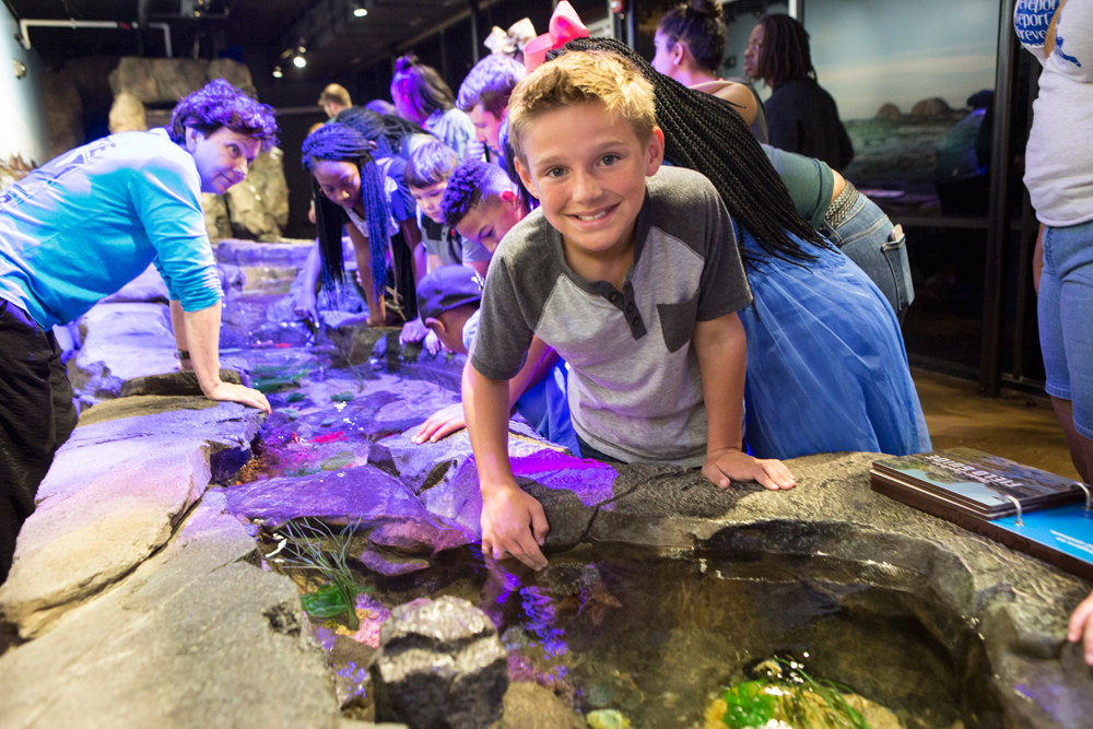 Riverwalk Cafe & Event Venue at Shreveport Aquarium