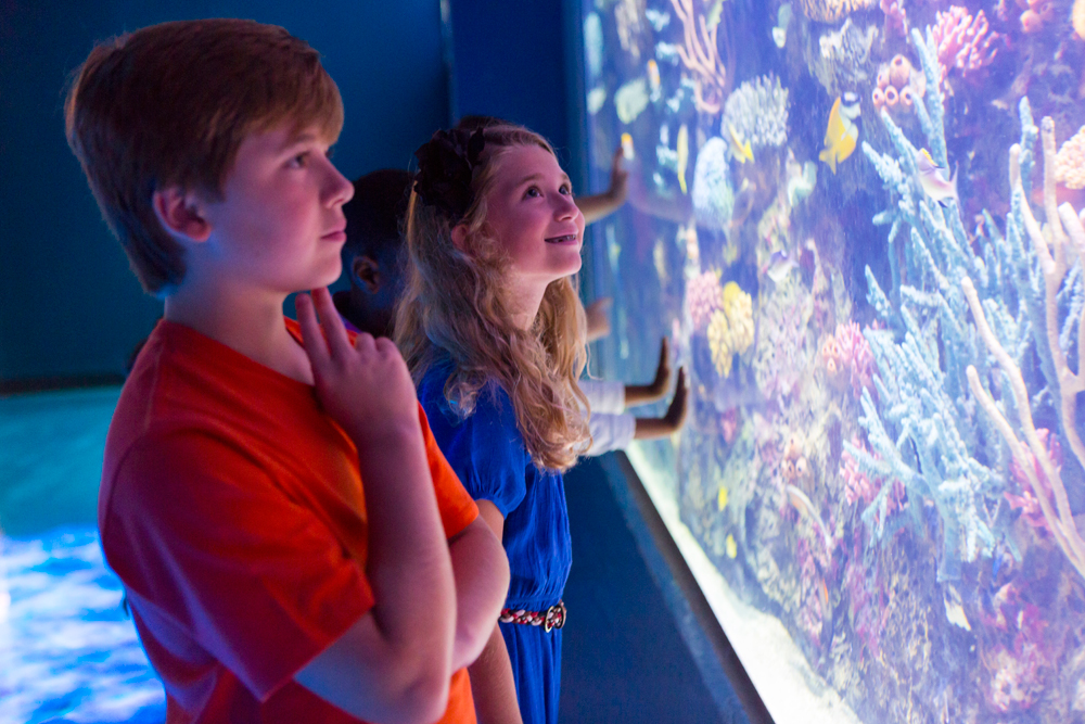 Riverwalk Cafe & Event Venue at Shreveport Aquarium